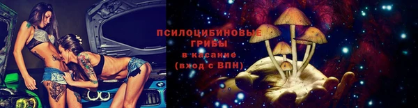 дмт Алексин