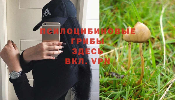 дмт Алексин