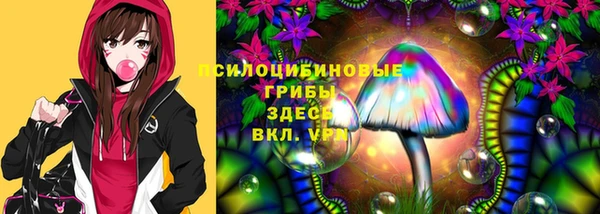 МДПВ Алзамай